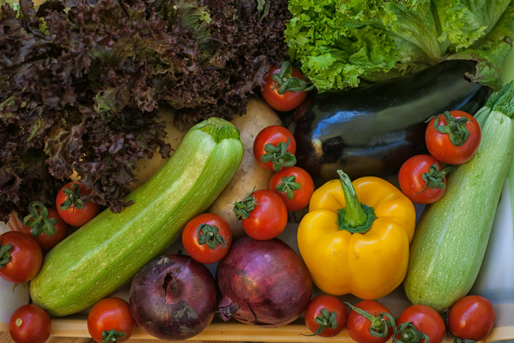 Curso de huerto ecológico · nivel inicial